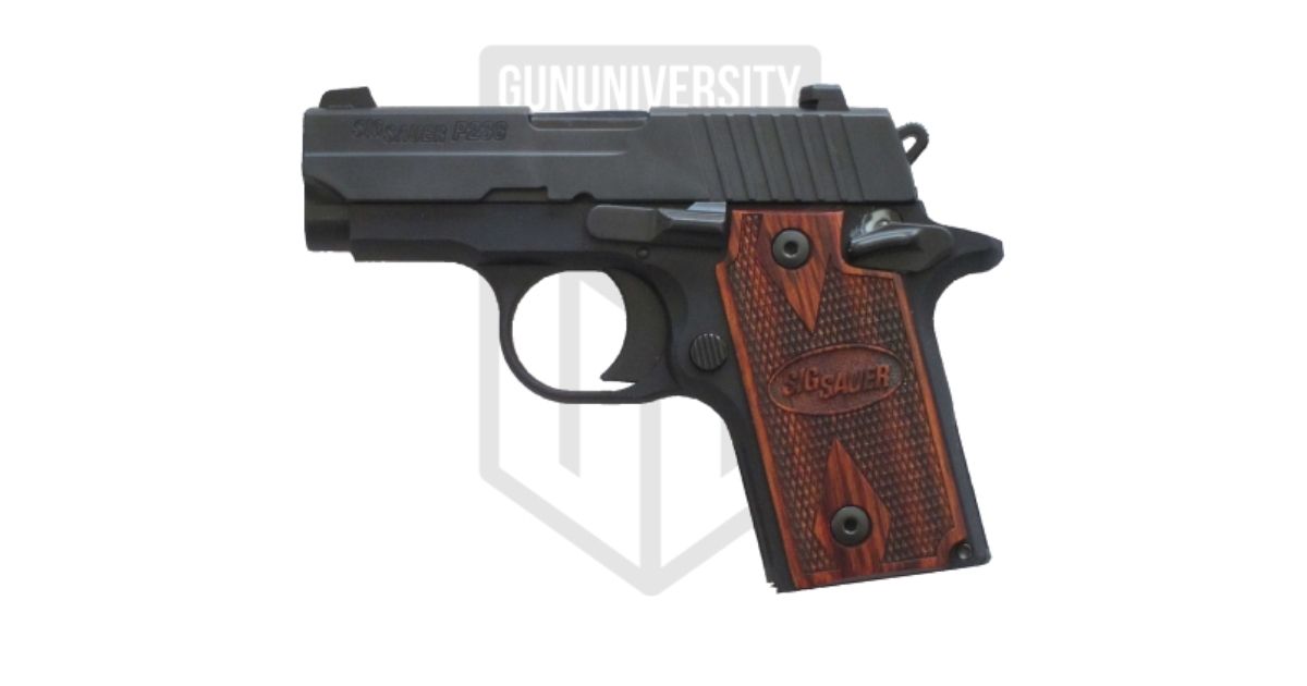 Sig Sauer P238 Review: Sig’s .380 Ugly Duckling- Worth It or No?