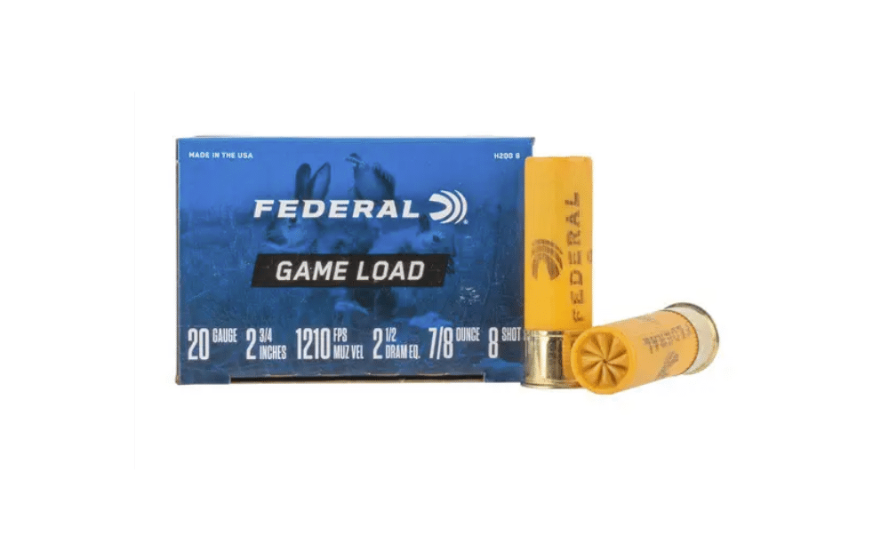 20 Gauge Ammo