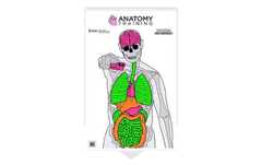 Anatomical Self-Defence Target
