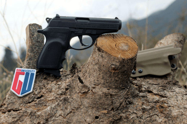 Bersa Firestorm on a chopped tree