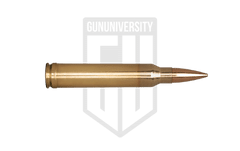 .300 Win Mag
