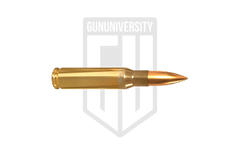 .308 Winchester
