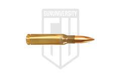 .308 Winchester