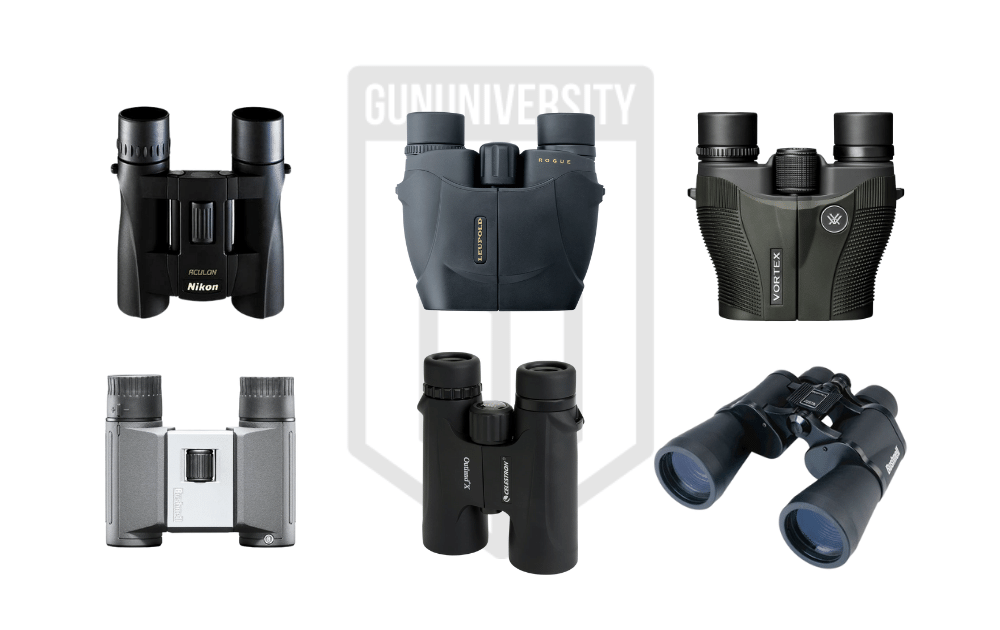 6 Best Binoculars Under $100: Budget Friendly Options