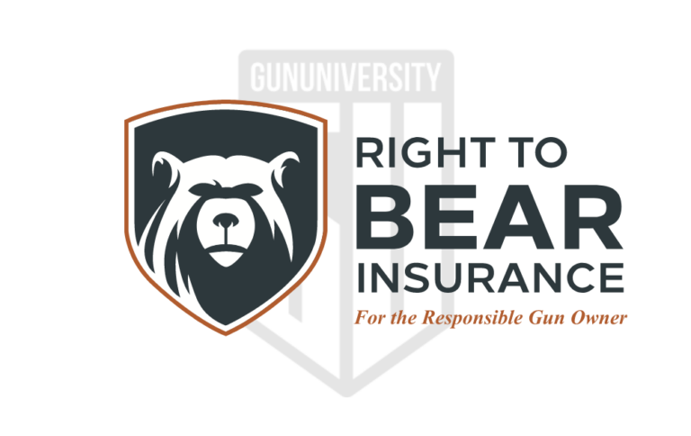 Right to Bear Review featured Image