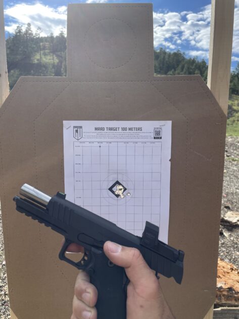 Springfield Armory Prodigy Accuracy