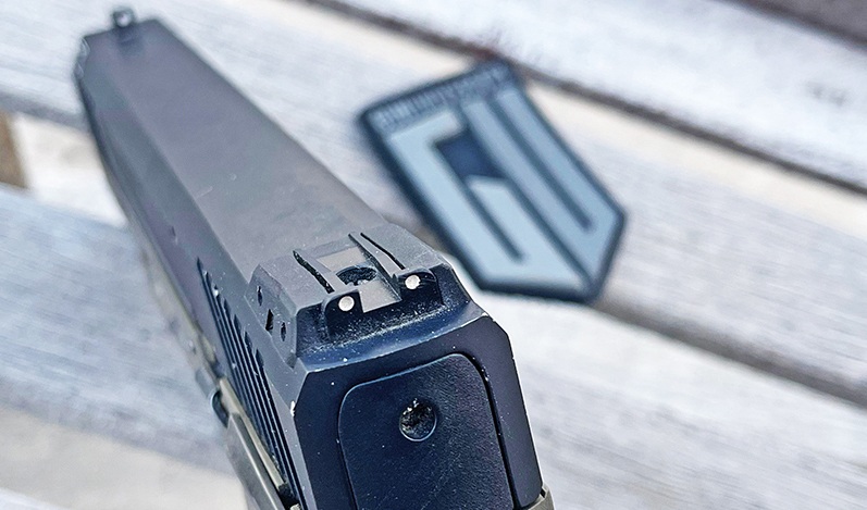 Taurus TX 22 rear sights. 