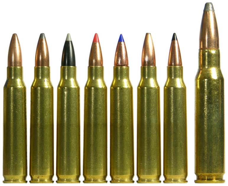 The most common AR15 platforms are chambered in 223 REM, 5.56 NATO, or 223 Wylde
