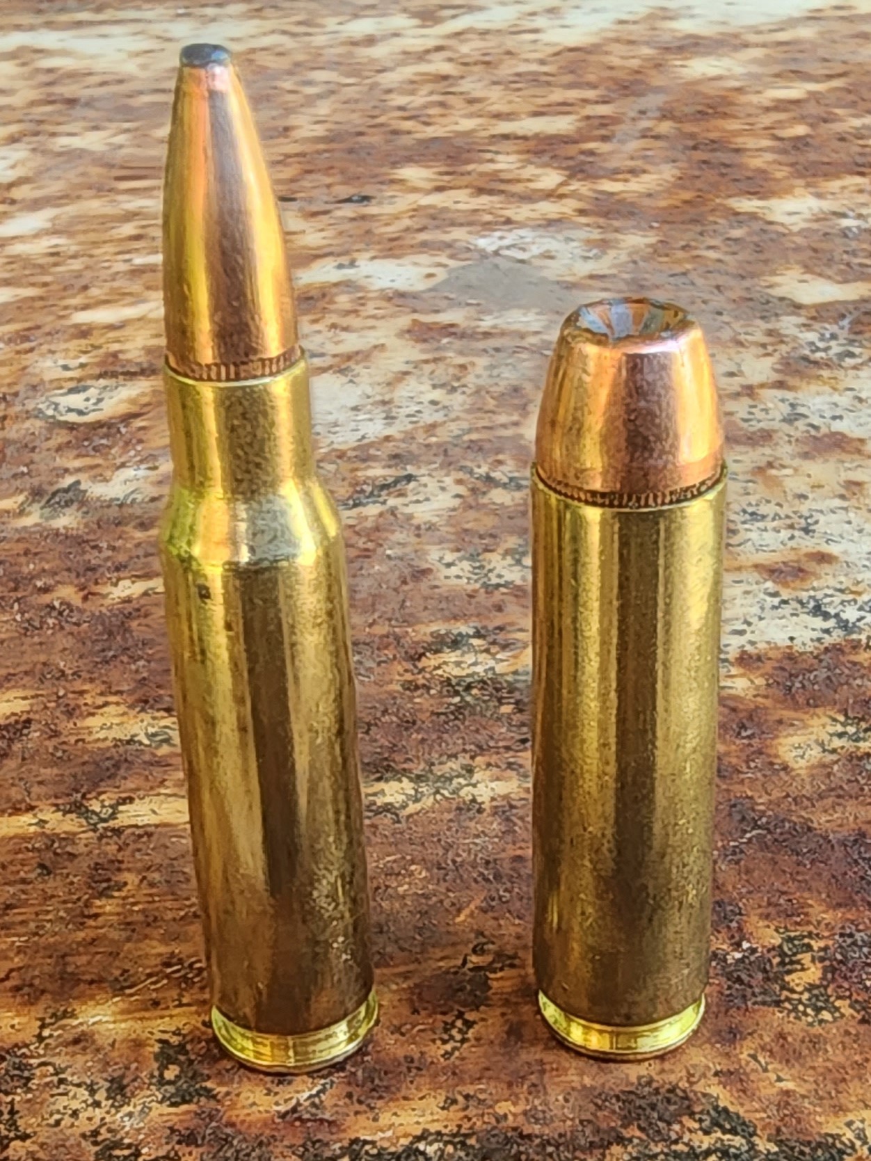 308 Win vs 450 BM: Which is Best For You in 2025