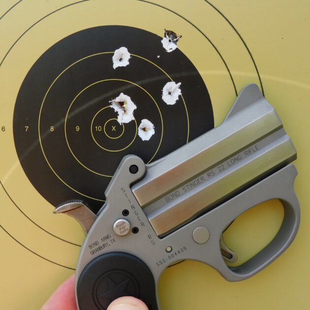 Bond Arms Stinger Accuracy