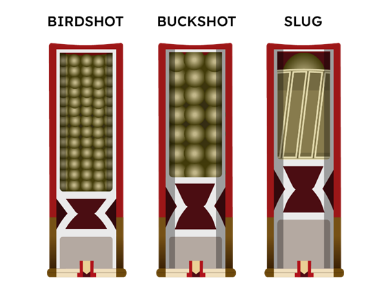 Types of Shotgun Shells Cutaway