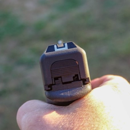 Glock 29 Review Sights