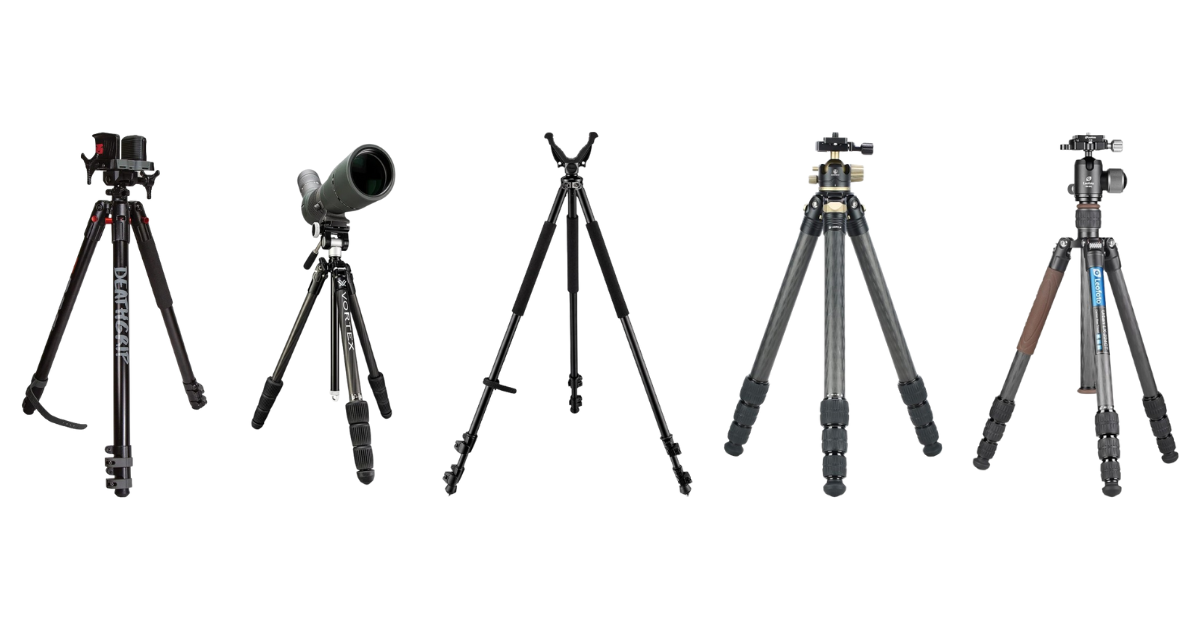 Best phone tripods in 2024