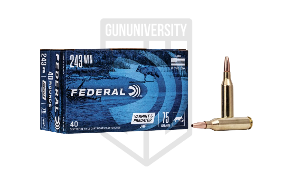 Federal American Eagle 243 Winchester 75 Gr Hollow Point