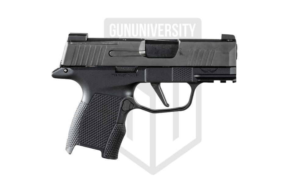 Icarus ACE P365 Grip Module 