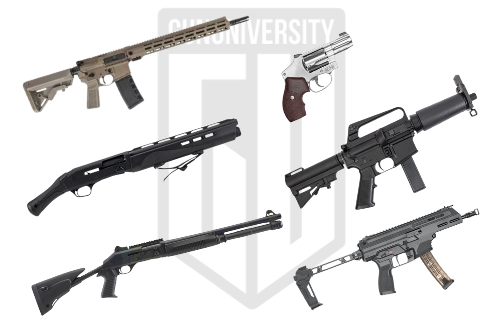 The Best Guns of 2025 (Year in Review)